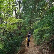 沿4號路線下山。