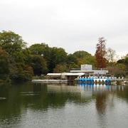 井の頭恩賜公園內。