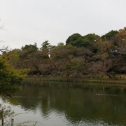 井の頭恩賜公園內。