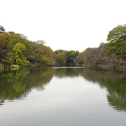 井の頭恩賜公園內。