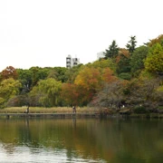 井の頭恩賜公園內。