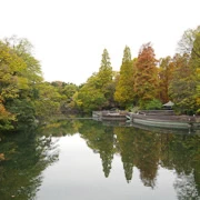 井の頭恩賜公園內。