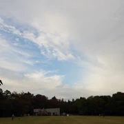 井の頭恩賜公園內。