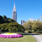 新宿御苑內。