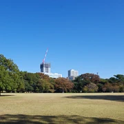 新宿御苑內。