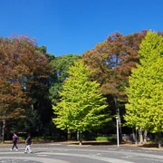 代々木公園內。