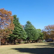 代々木公園內。