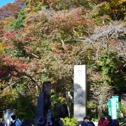 高尾山紅葉。