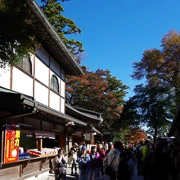 高尾山神社內。