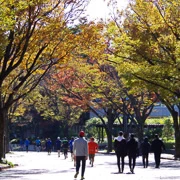 駒沢公園內。