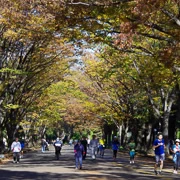 駒沢公園內。