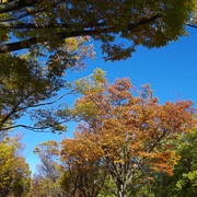 駒沢公園內。