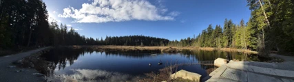 Beaver Lake, Stanley Park
