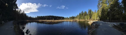 Beaver Lake, Stanley Park