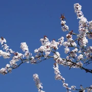 比我係Knight Street/East 34 Avenue遇上了。