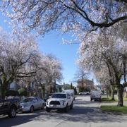 Knight Street/East 33 Avenue交界。