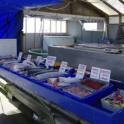 Steveston既Fisherman's Wharf。