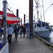 Fisherman's Wharf。