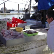 Fisherman's Wharf。