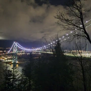 唔係朋友車我來,都唔知錯過了Prospect Point Lookout夜景。