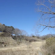 時候仲未來到。