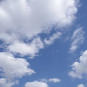 酒々井PREMIUM OUTLETS。