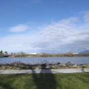 沿River Road漫無目的向前行。