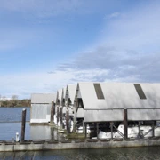 沿River Road漫無目的向前行。