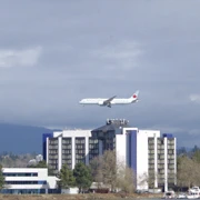 沿River Road漫無目的向前行。