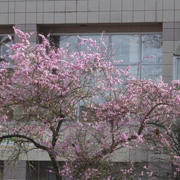 沿River Road漫無目的向前行。