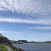 沿River Road漫無目的向前行。