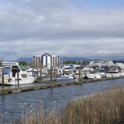 沿River Road漫無目的向前行。