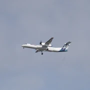 就係頭頂飛過。