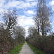 一個人，就抄下捷徑先。