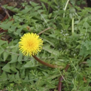 沿River Road漫無目的向前行。