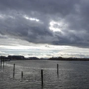 沿River Road漫無目的向前行。