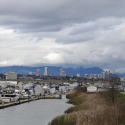 沿River Road漫無目的向前行。