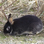 係公園草叢旁‧‧‧