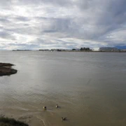 Fraser River旁。
