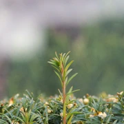 HEA既時候，見到咩覺得特別都影下。