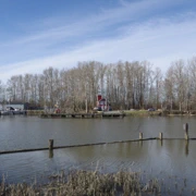 繼續係River Road尋找其他景點。