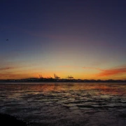 今天終於來到了。