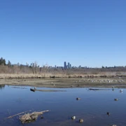 Burnaby Lake Regional Park。