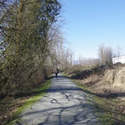 Burnaby Lake Regional Park。