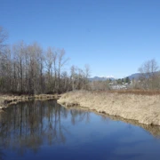 Burnaby Lake Regional Park。