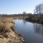Burnaby Lake Regional Park。