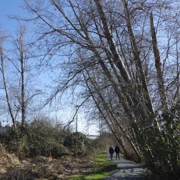 Burnaby Lake Regional Park。