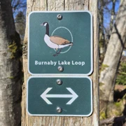 Burnaby Lake Loop，全走就要差不多4小時。