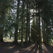 Burnaby Mountain Park。