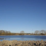 來到Iona Beach Regional Park。